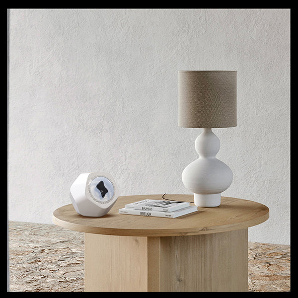 Magnetic Fluid Music Rhythm Lamp | Ferrofluid Desktop Speakers & Sound Visualizer | Creative Gift for Friends 2025